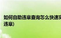 如何自助违章查询怎么快速实时查询违章罚款(怎么即时查询违章)