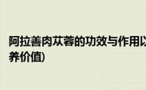 阿拉善肉苁蓉的功效与作用以及食用方法(阿拉善肉苁蓉的营养价值)