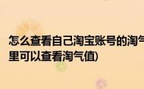 怎么查看自己淘宝账号的淘气值如何增加淘气值(淘宝账号哪里可以查看淘气值)