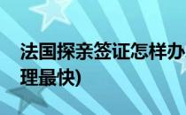 法国探亲签证怎样办理(法国探亲签证怎样办理最快)