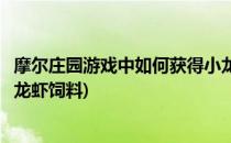 摩尔庄园游戏中如何获得小龙虾(摩尔庄园游戏中如何获得小龙虾饲料)