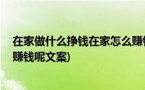 在家做什么挣钱在家怎么赚钱呢(在家做什么挣钱,在家怎么赚钱呢文案)