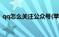 qq怎么关注公众号(苹果qq怎么关注公众号)