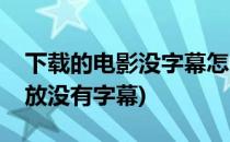 下载的电影没字幕怎么办(下载的电影电视播放没有字幕)