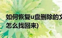 如何恢复u盘删除的文件(u盘里的文件删除了怎么找回来)