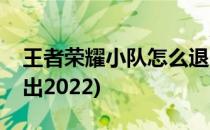 王者荣耀小队怎么退出(王者荣耀小队怎么退出2022)