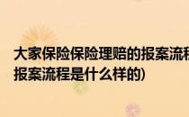 大家保险保险理赔的报案流程是什么?(大家保险:保险理赔的报案流程是什么样的)