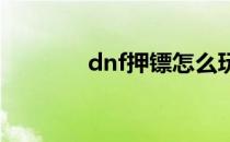 dnf押镖怎么玩(押镖和打图)