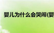 婴儿为什么会哭闹(婴儿为什么会哭闹不止)