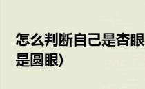 怎么判断自己是杏眼(怎么判断自己是杏眼还是圆眼)