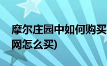 摩尔庄园中如何购买钓鱼工具(摩尔庄园钓鱼网怎么买)