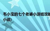 韦小宝的七个老婆小游戏攻略(韦小宝的七个老婆小游戏攻略小说)