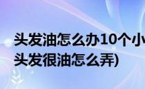 头发油怎么办10个小妙招还你蓬松干爽发丝(头发很油怎么弄)