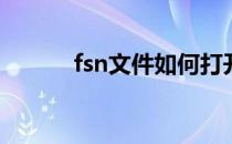 fsn文件如何打开(fsn存档位置)