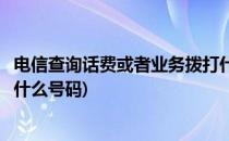 电信查询话费或者业务拨打什么号码(电信用户查询话费拨打什么号码)