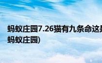 蚂蚁庄园7.26猫有九条命这是真的吗(猫有9条命是真的假的蚂蚁庄园)