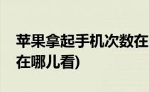 苹果拿起手机次数在哪看(苹果手机拿起次数在哪儿看)