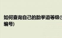 如何查询自己的跆拳道等级(如何查询自己的跆拳道等级证书编号)