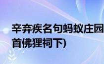 辛弃疾名句蚂蚁庄园(蚂蚁庄园辛弃疾可堪回首佛狸祠下)