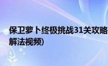 保卫萝卜终极挑战31关攻略(保卫萝卜终极挑战31关攻略图解法视频)