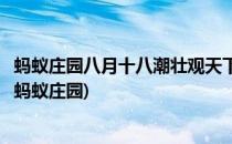 蚂蚁庄园八月十八潮壮观天下无答案是什么(名句八月十八潮蚂蚁庄园)