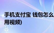 手机支付宝 钱包怎么用(手机支付宝 钱包怎么用视频)