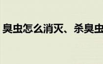 臭虫怎么消灭、杀臭虫的方法(怎样杀灭臭虫)