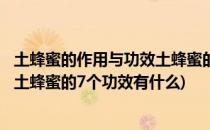 土蜂蜜的作用与功效土蜂蜜的7个功效(土蜂蜜的作用与功效,土蜂蜜的7个功效有什么)