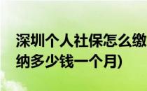 深圳个人社保怎么缴纳(深圳个人社保怎么缴纳多少钱一个月)