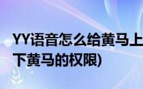 YY语音怎么给黄马上满权限(yy怎么给橙马上下黄马的权限)