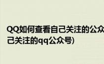 QQ如何查看自己关注的公众号和关注公众号(qq如何查看自己关注的qq公众号)