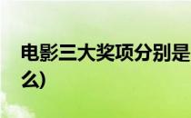 电影三大奖项分别是(电影三大奖项分别是什么)