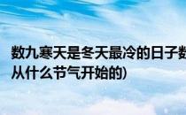 数九寒天是冬天最冷的日子数九是哪个节气开始(数九寒天是从什么节气开始的)