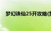 梦幻诛仙25开攻略(梦幻新诛仙五开攻略)