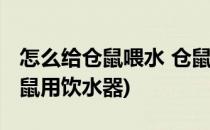 怎么给仓鼠喂水 仓鼠饮水器怎么用(怎么让仓鼠用饮水器)