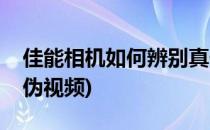 佳能相机如何辨别真伪(佳能相机如何辨别真伪视频)