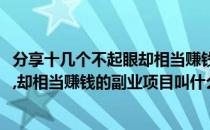 分享十几个不起眼却相当赚钱的副业项目(分享十几个不起眼,却相当赚钱的副业项目叫什么)