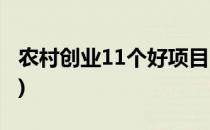 农村创业11个好项目(农村创业11个好项目表)