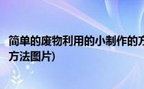 简单的废物利用的小制作的方法(简单的废物利用的小制作的方法图片)