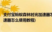 支付宝蚂蚁森林时光加速器怎么使用(支付宝蚂蚁森林时光加速器怎么使用教程)