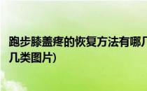 跑步膝盖疼的恢复方法有哪几类(跑步膝盖疼的恢复方法有哪几类图片)