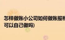 怎样做账小公司如何做账报税做账报税流程(小公司做账报税可以自己做吗)