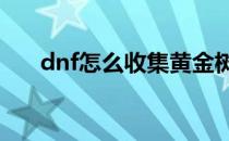 dnf怎么收集黄金树叶(DNF银色树叶)