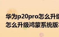 华为p20pro怎么升级鸿蒙系统(华为p20pro怎么升级鸿蒙系统版本)