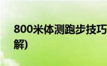 800米体测跑步技巧(800米体测跑步技巧图解)