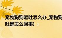 宠物狗狗呕吐怎么办_宠物狗呕吐的原因是什么(宠物狗狗呕吐是怎么回事)