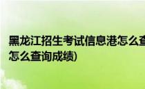 黑龙江招生考试信息港怎么查询成绩(黑龙江招生考试信息港怎么查询成绩)