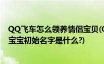 QQ飞车怎么领养情侣宝贝(QQ飞车情侣空间中,领养的情侣宝宝初始名字是什么?)