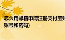 怎么用邮箱申请注册支付宝账号(怎么用邮箱申请注册支付宝账号和密码)