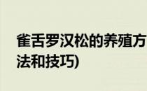 雀舌罗汉松的养殖方法(雀舌罗汉松的养殖方法和技巧)